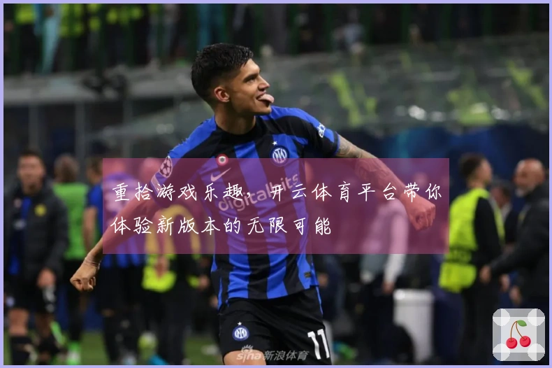 重拾游戏乐趣，开云体育平台带你体验新版本的无限可能
